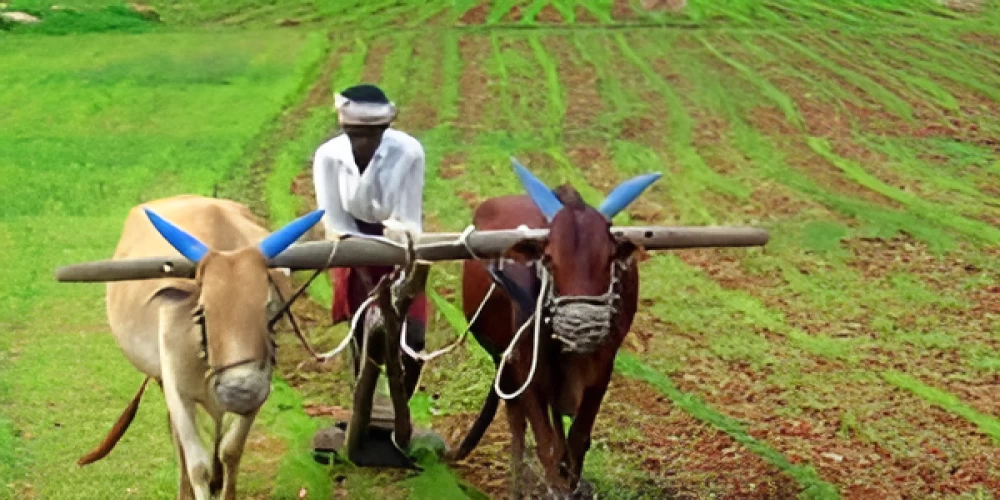 RBI increases collateral-free agricultural loan limit from ₹1.6 to ₹2 lakh RBI increases collateral-free agricultural loan limit from ₹1.6 to ₹2 lakh